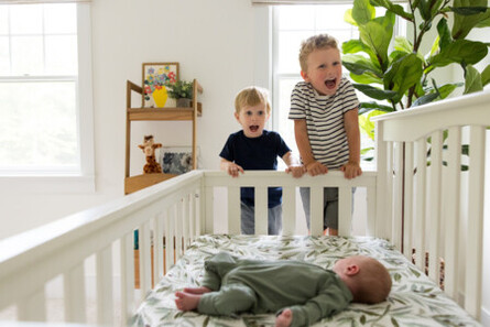 Conant Newborn Session