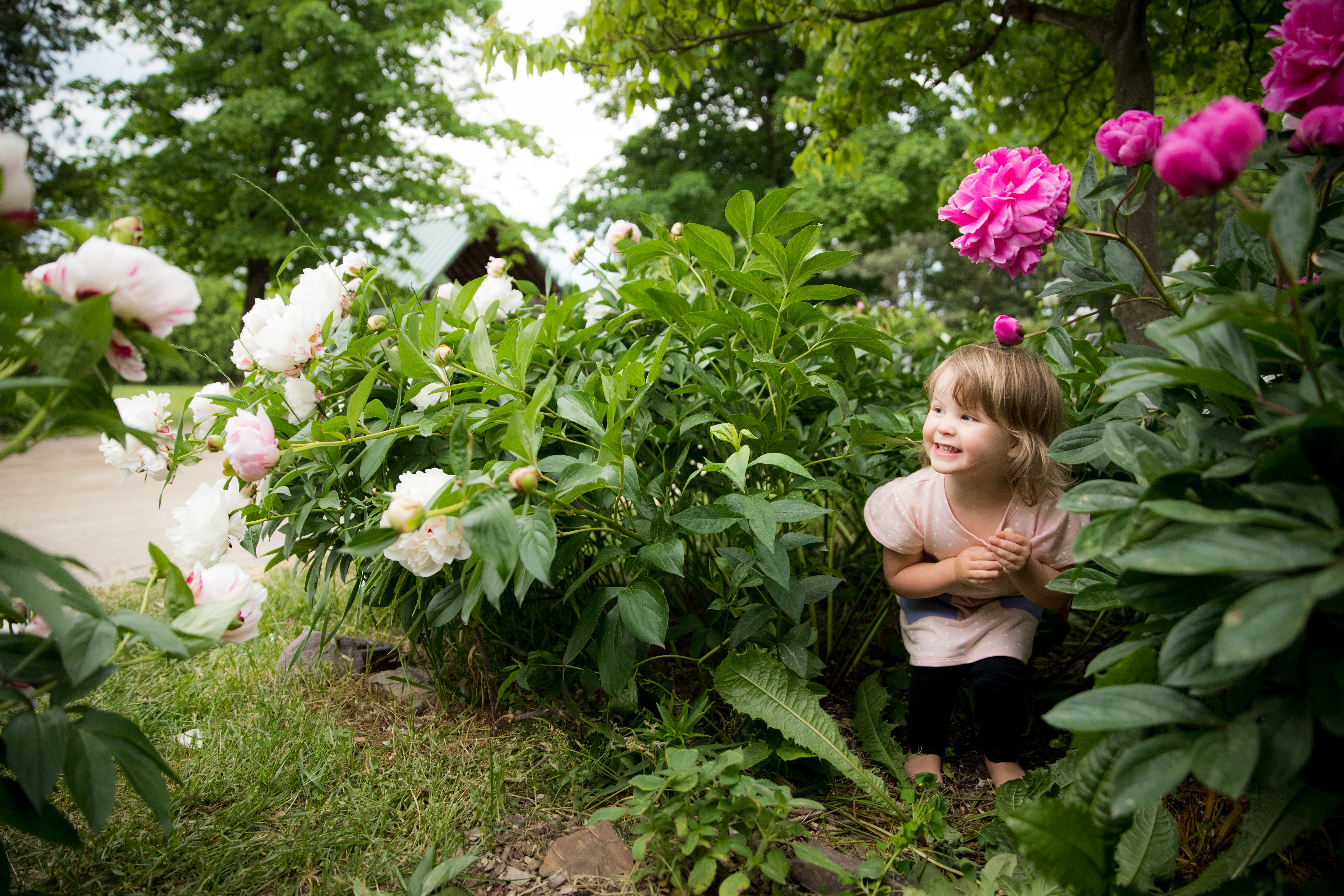 little girl in garden photography
